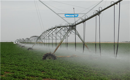 腾博汇游戏官网·(中国)专业效劳,诚信为本