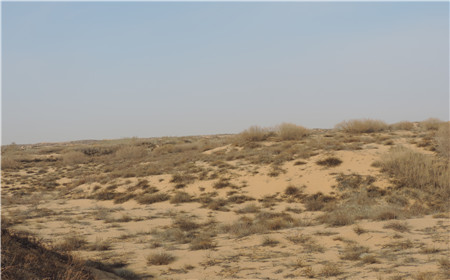 腾博汇游戏官网·(中国)专业效劳,诚信为本