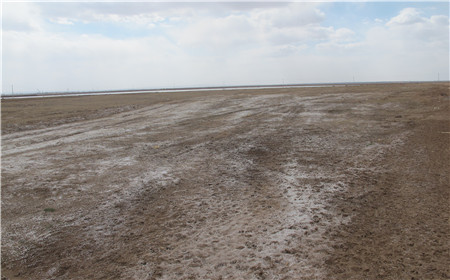 腾博汇游戏官网·(中国)专业效劳,诚信为本