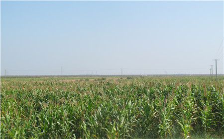 腾博汇游戏官网·(中国)专业效劳,诚信为本