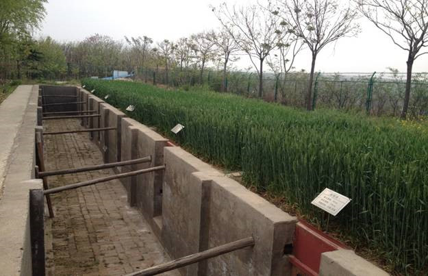 腾博汇游戏官网·(中国)专业效劳,诚信为本