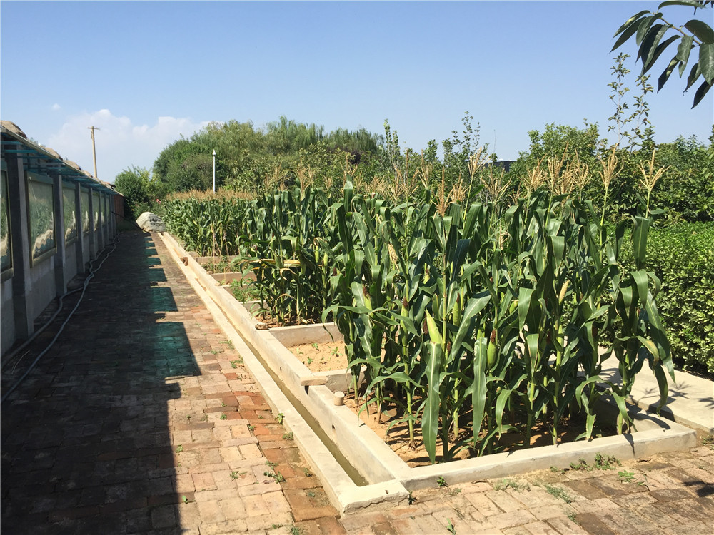 腾博汇游戏官网·(中国)专业效劳,诚信为本