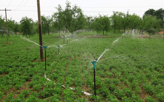 腾博汇游戏官网·(中国)专业效劳,诚信为本