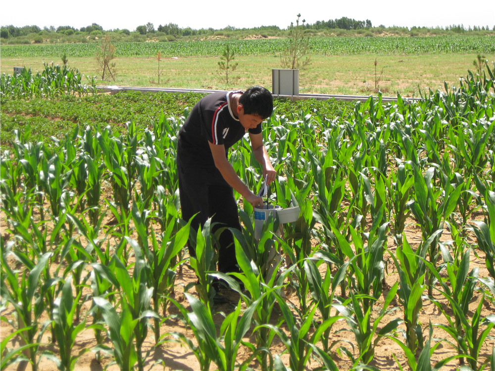 腾博汇游戏官网·(中国)专业效劳,诚信为本