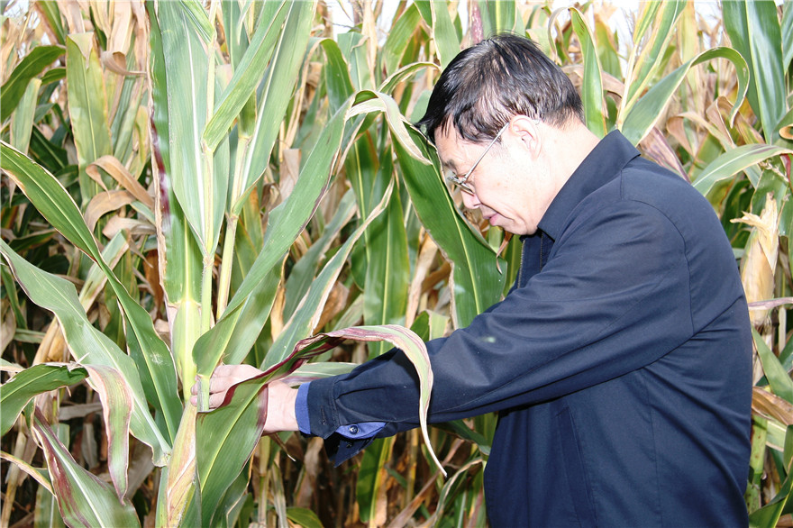 腾博汇游戏官网·(中国)专业效劳,诚信为本