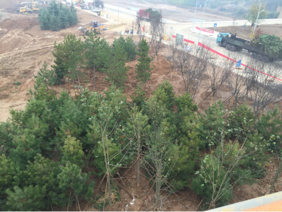 腾博汇游戏官网·(中国)专业效劳,诚信为本
