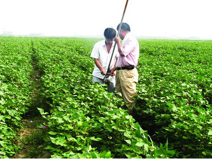 腾博汇游戏官网·(中国)专业效劳,诚信为本