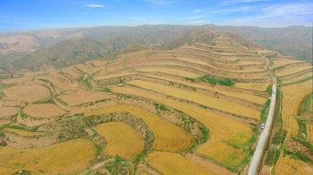 腾博汇游戏官网·(中国)专业效劳,诚信为本