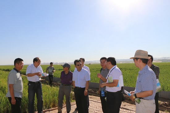 腾博汇游戏官网·(中国)专业效劳,诚信为本