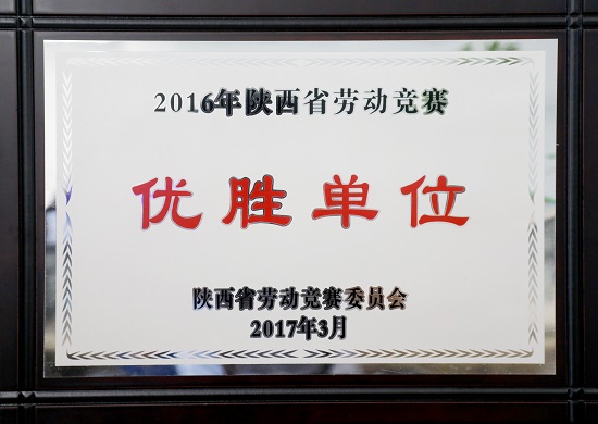 腾博汇游戏官网·(中国)专业效劳,诚信为本