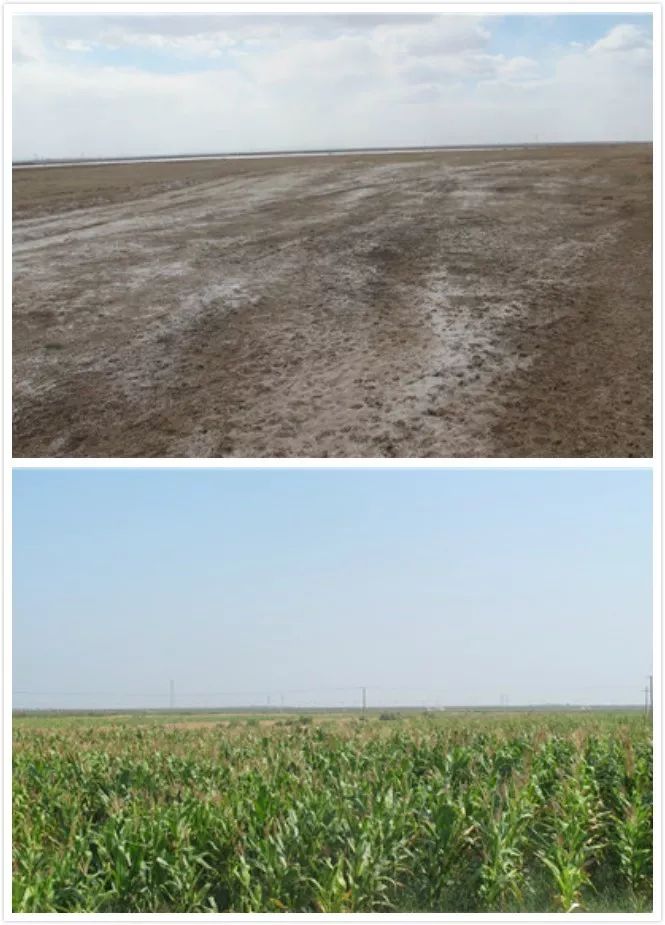 腾博汇游戏官网·(中国)专业效劳,诚信为本