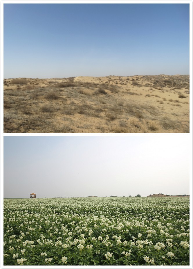 腾博汇游戏官网·(中国)专业效劳,诚信为本