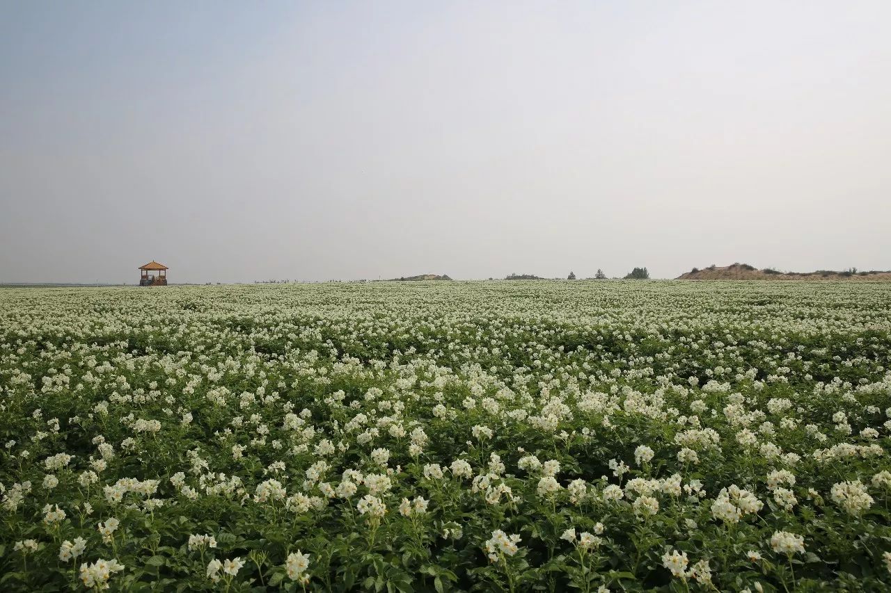 腾博汇游戏官网·(中国)专业效劳,诚信为本