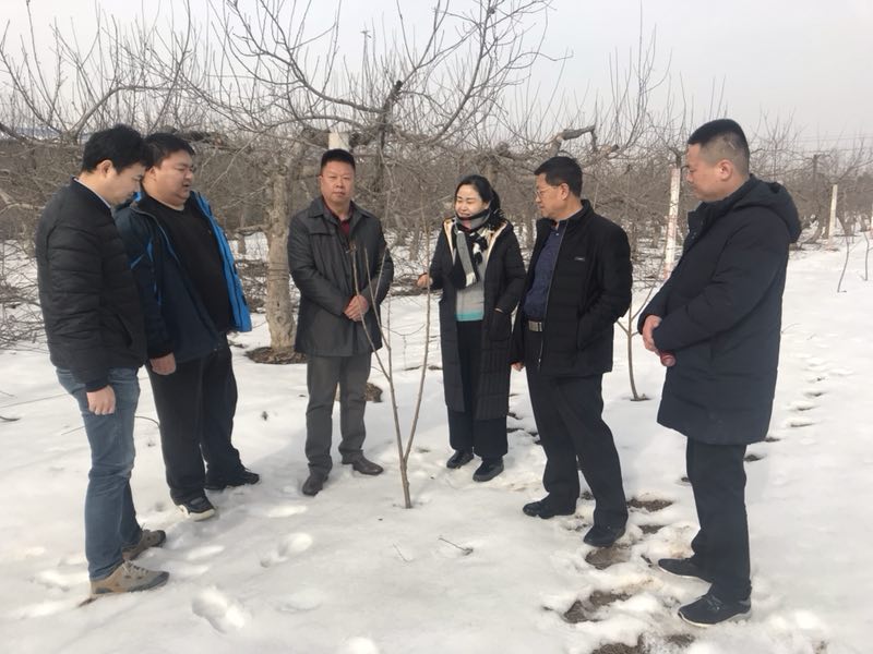 腾博汇游戏官网·(中国)专业效劳,诚信为本