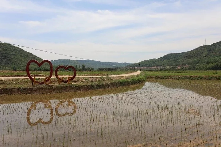 腾博汇游戏官网·(中国)专业效劳,诚信为本