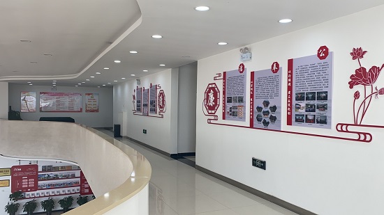 腾博汇游戏官网·(中国)专业效劳,诚信为本