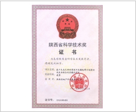 腾博汇游戏官网·(中国)专业效劳,诚信为本