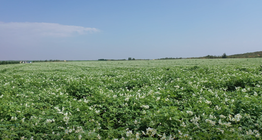 腾博汇游戏官网·(中国)专业效劳,诚信为本
