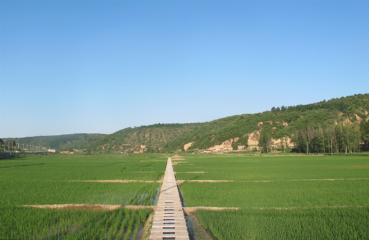 腾博汇游戏官网·(中国)专业效劳,诚信为本