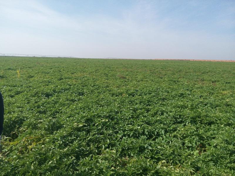 腾博汇游戏官网·(中国)专业效劳,诚信为本